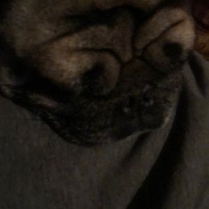 Meet your Posher, Kevin